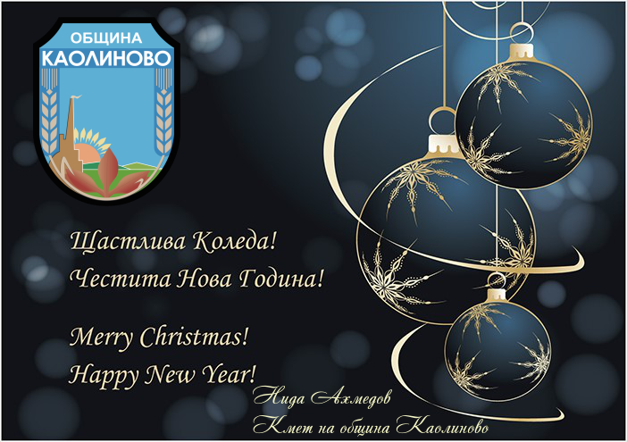 Щастлива Коледа ! Честита Нова Година !